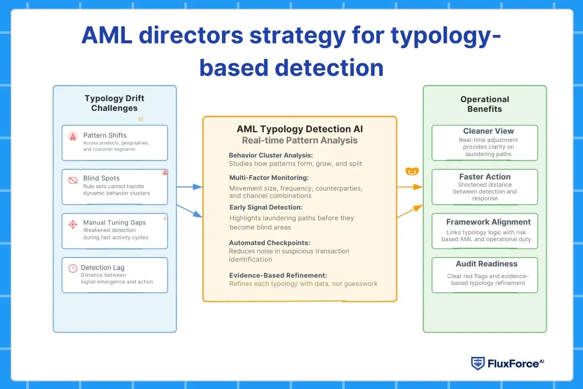AML directors strategy for typology-based detectio