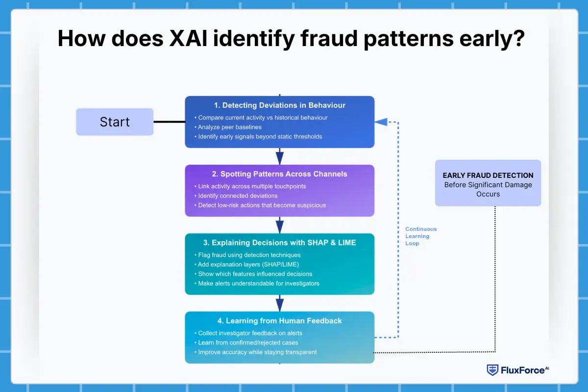 How does XAI identify fraud patterns early