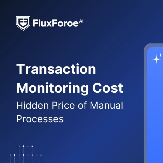 Uncovering the Hidden Costs of Transaction Monitoring in Financial Compliance
