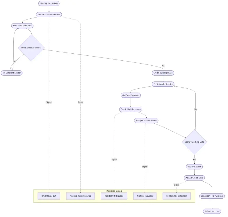 Synthetic identity fraud lifecycle from fabricated identity creation through 12 to 18 month credit building phase to bust-out event with detection signals at each stage